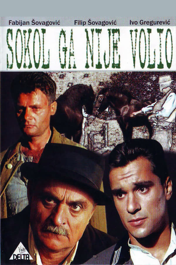 Cover of the movie Sokol Did Not Love Him