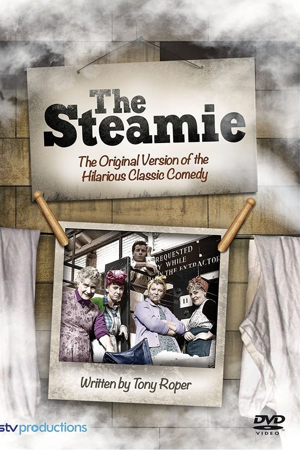 Cover of the movie The Steamie