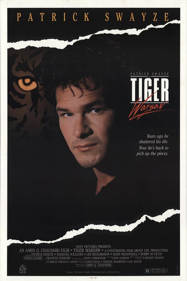 Cover of the movie Tiger Warsaw