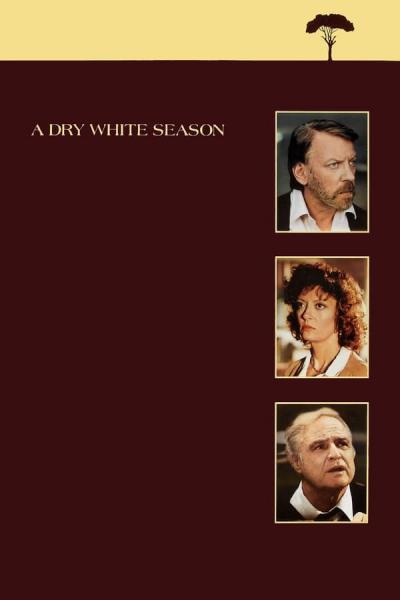Cover of A Dry White Season