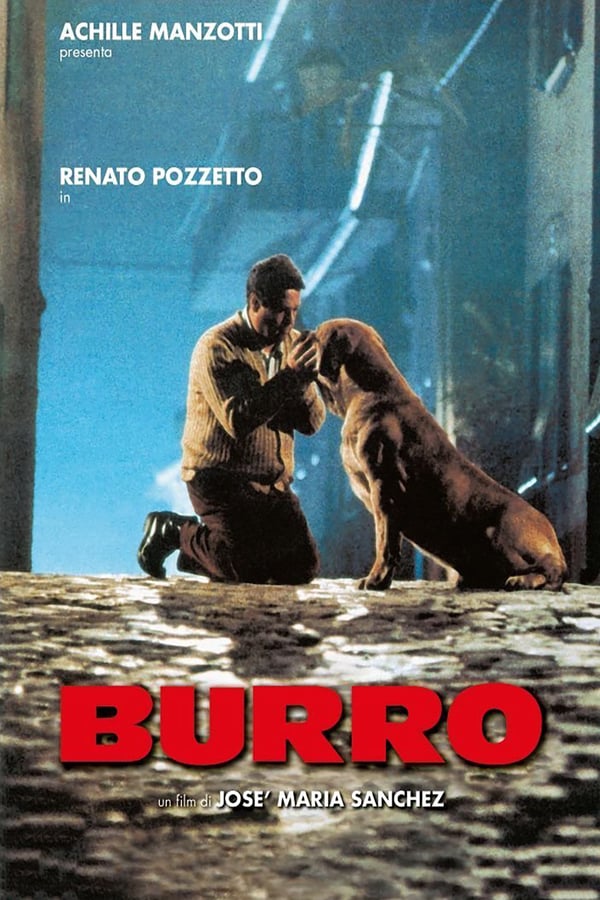 Cover of the movie Burro