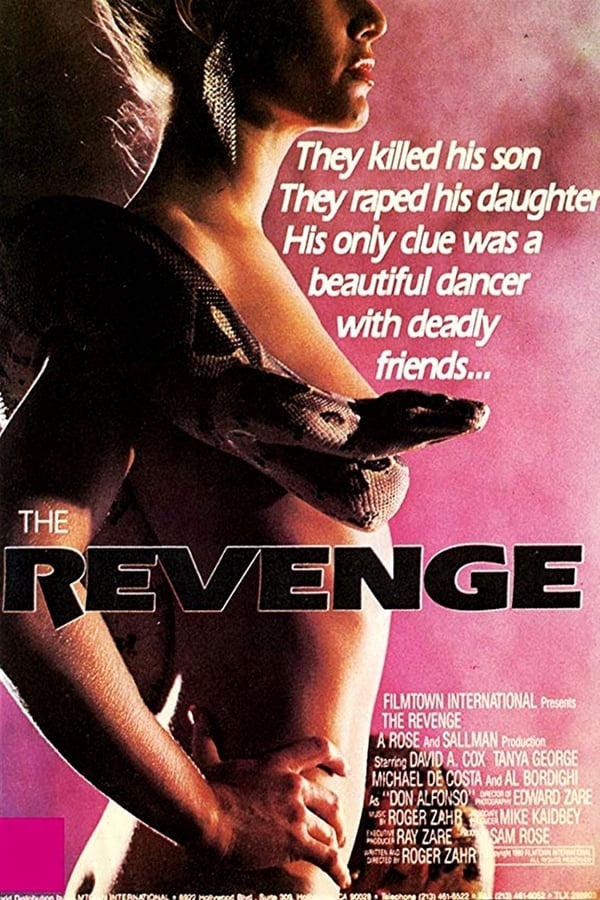 Cover of the movie Extreme Vengeance