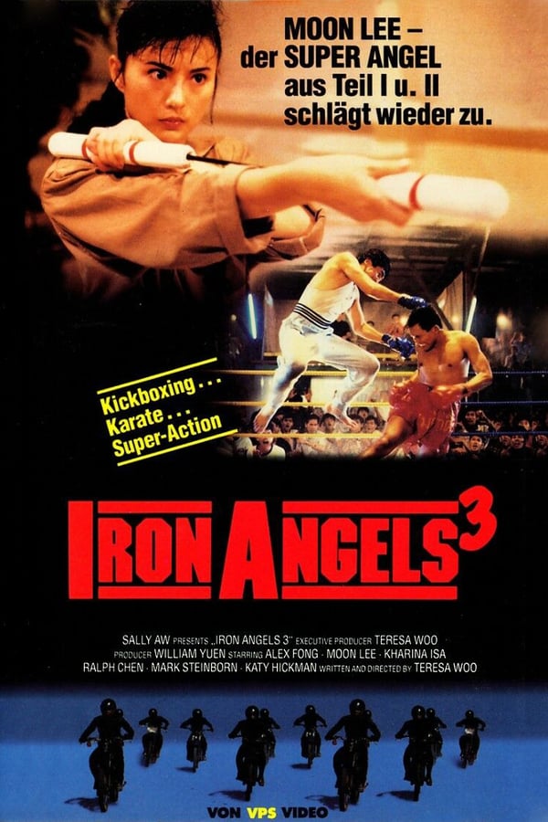 Cover of the movie Iron Angels 3