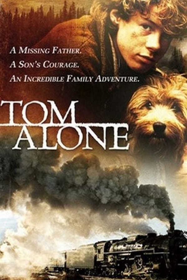 Cover of the movie Last Train Home