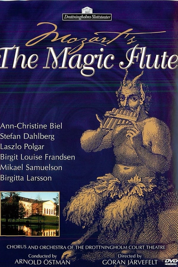 Cover of the movie Mozart: The Magic Flute