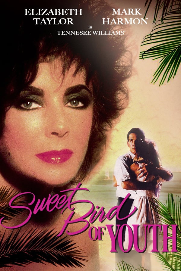 Cover of the movie Sweet Bird of Youth