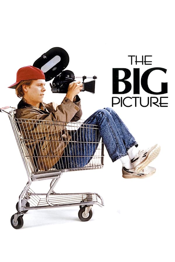 Cover of the movie The Big Picture