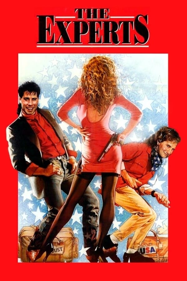 Cover of the movie The Experts