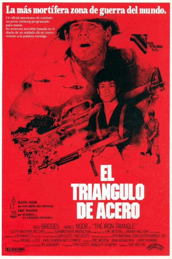Cover of the movie The Iron Triangle