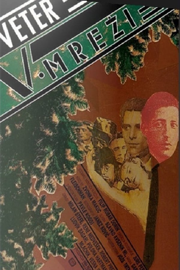 Cover of the movie The Windhunter