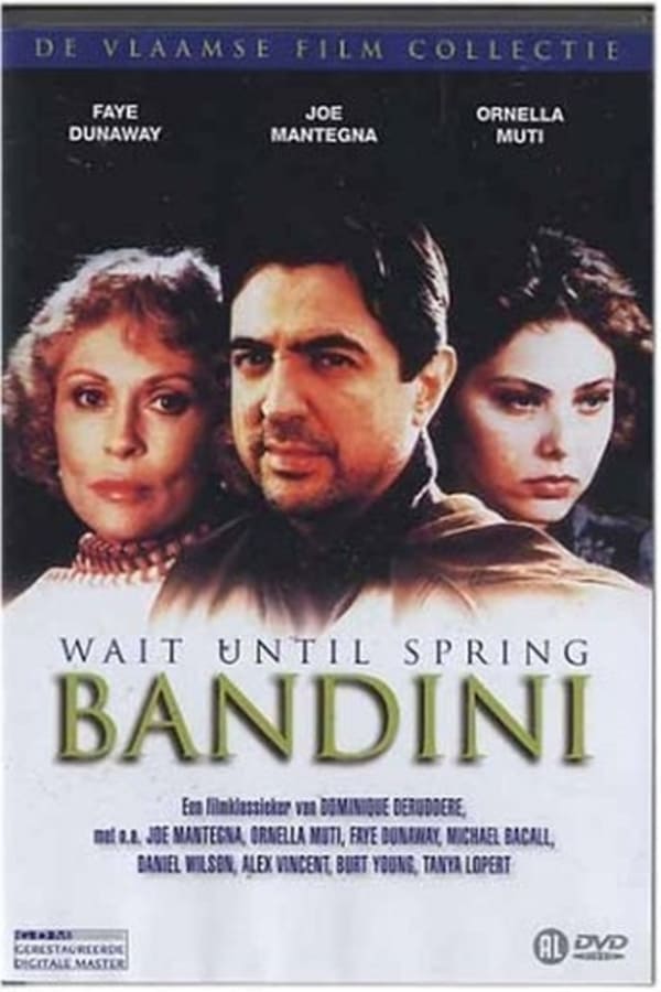 Cover of the movie Wait until spring Bandini