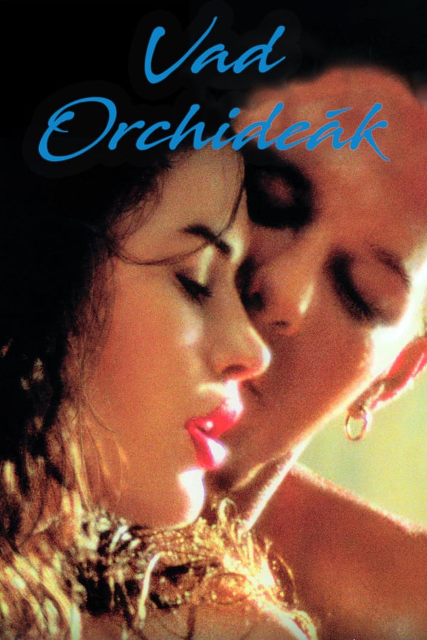 Cover of the movie Wild Orchid