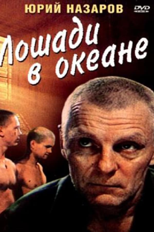 Cover of the movie Лошади в океане