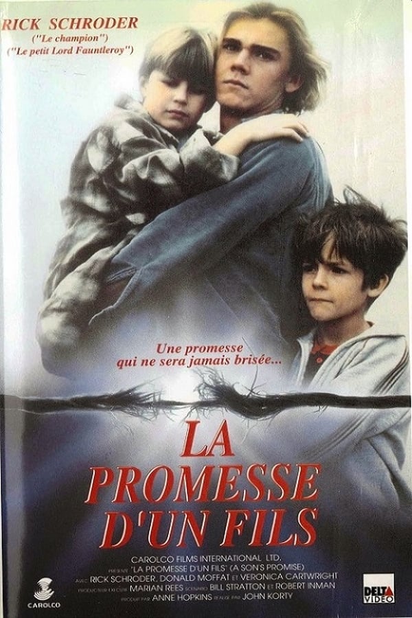 Cover of the movie A Son's Promise