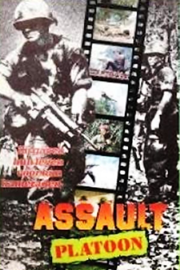 Cover of the movie Assault Platoon