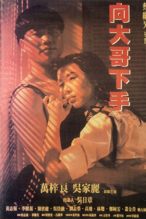 Cover of the movie Big Brother