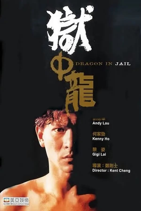 Cover of the movie Dragon in Jail