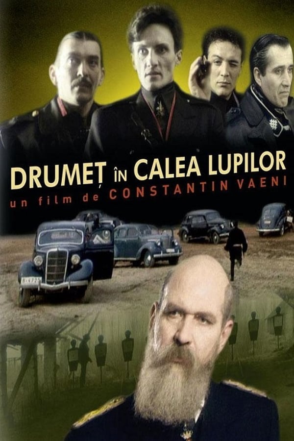 Cover of the movie Drumeț în calea lupilor