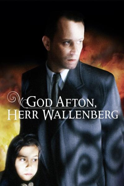 Cover of the movie Good Evening, Mr. Wallenberg