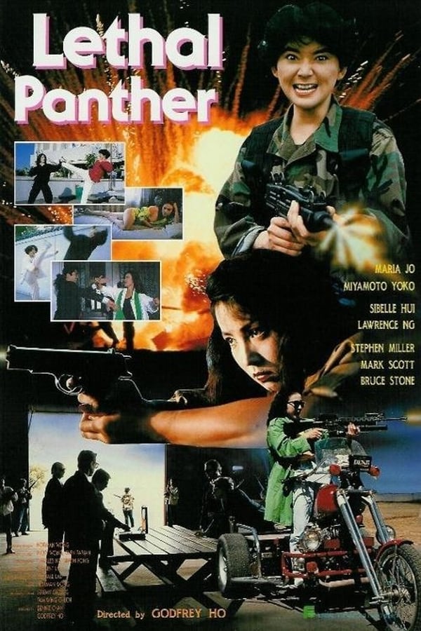 Cover of the movie Lethal Panther
