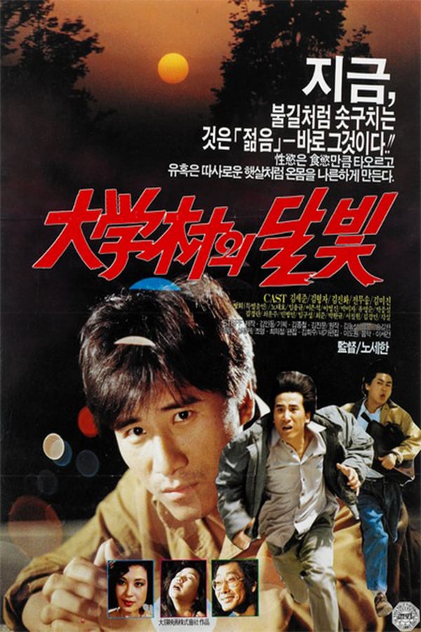 Cover of the movie Moonlight in the University Town