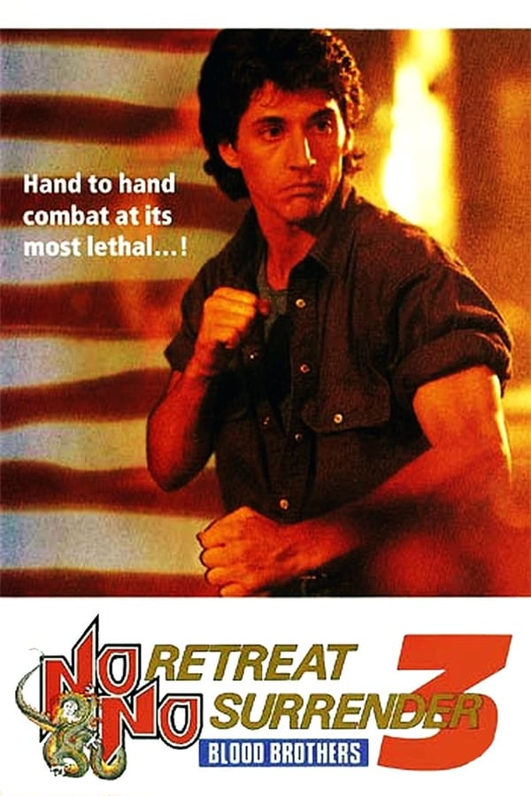 Cover of the movie No Retreat, No Surrender 3: Blood Brothers