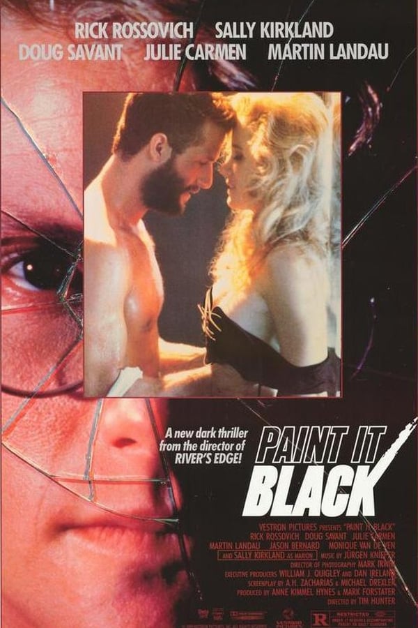 Cover of the movie Paint It Black