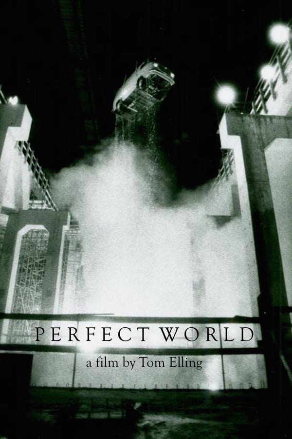 Cover of the movie Perfect World