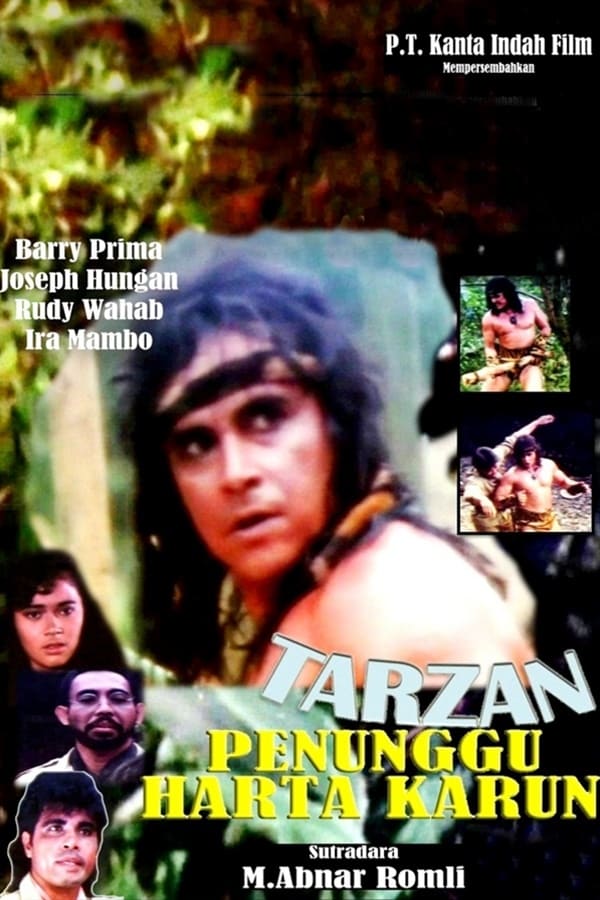 Cover of the movie Tarzan: Treasure Watcher
