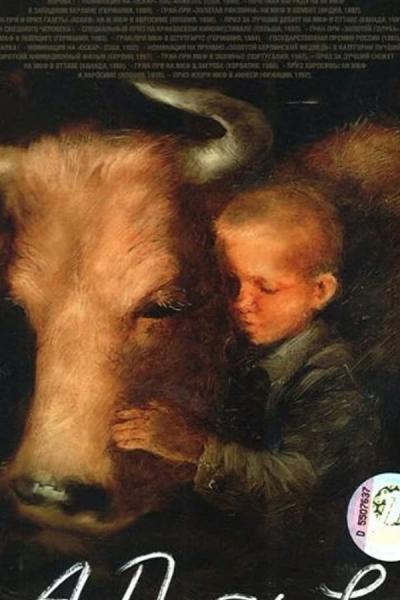 Cover of The Cow