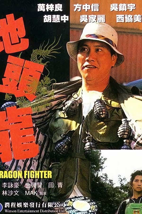Cover of the movie The Dragon Fighter
