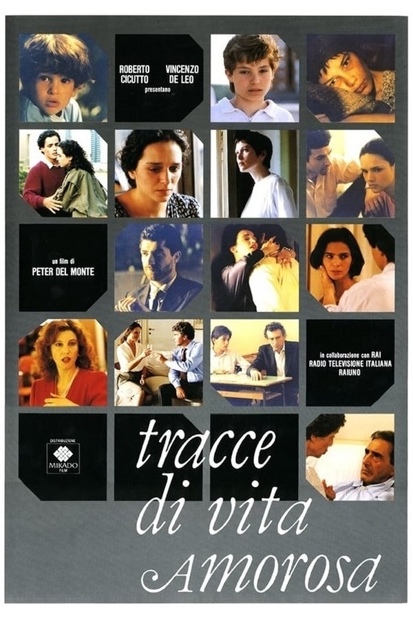 Cover of the movie Traces of an Amorous Life