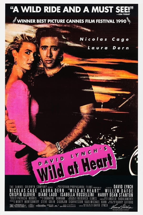 Cover of the movie Wild at Heart