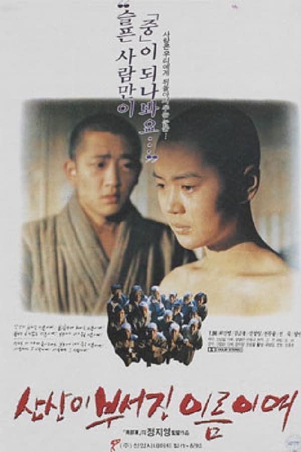 Cover of the movie Beyond the Mountain