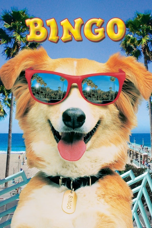 Cover of the movie Bingo
