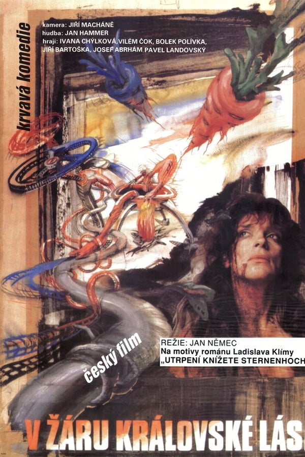 Cover of the movie Flames of Royal Love