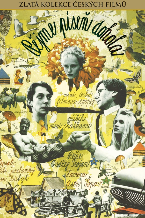Cover of the movie Let's All Sing Around