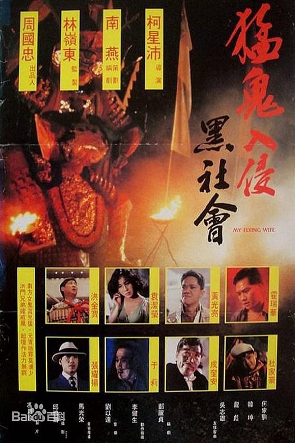 Cover of the movie My Flying Wife