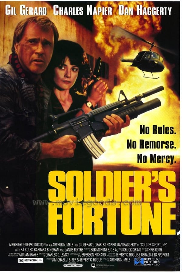 Cover of the movie Soldier's Fortune