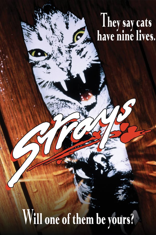 Cover of the movie Strays