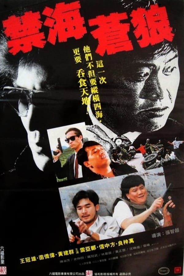 Cover of the movie The Killer from China