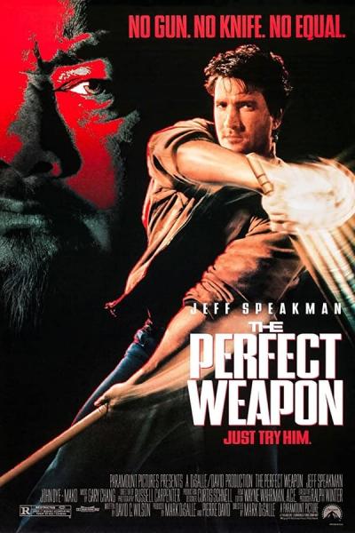Cover of the movie The Perfect Weapon