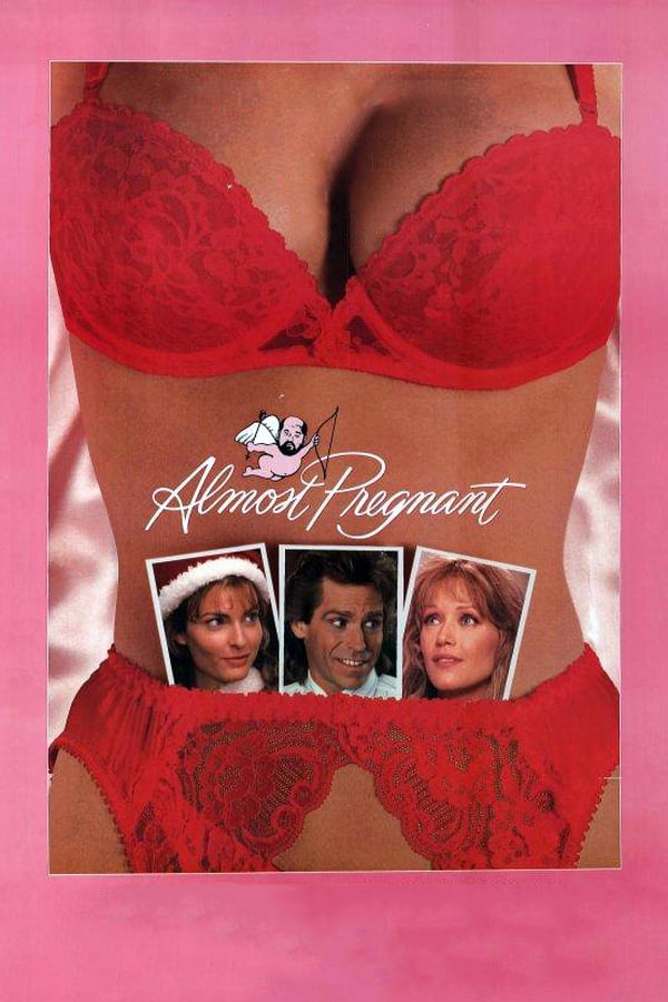 Cover of the movie Almost Pregnant