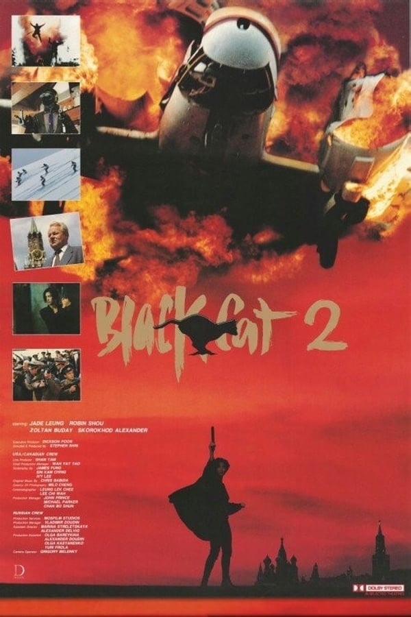 Cover of the movie Black Cat II