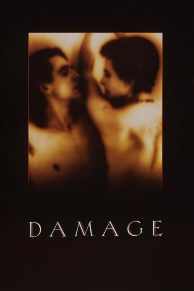 Cover of the movie Damage