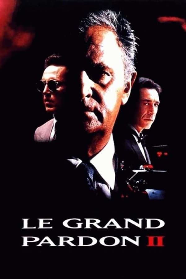 Cover of the movie Le grand pardon 2