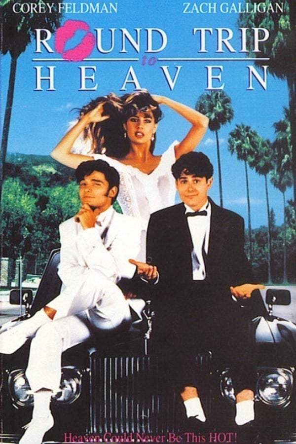 Cover of the movie Round Trip to Heaven