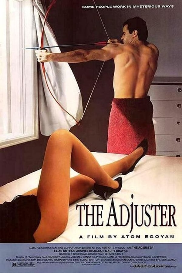 Cover of the movie The Adjuster