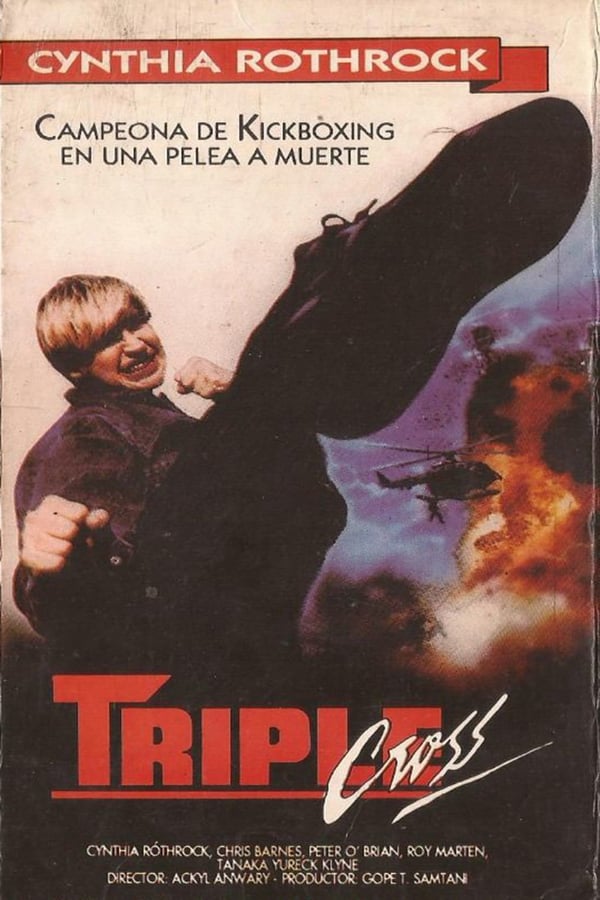 Cover of the movie Triple Cross