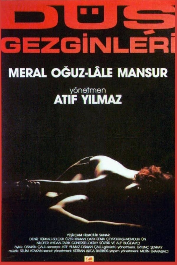 Cover of the movie Walking After Midnight